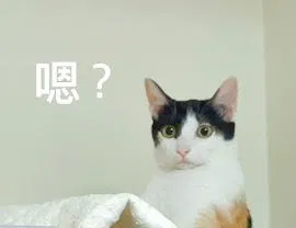 🧧星亞動物溝通新春特輯之 【明明說好是動物溝通，怎麼變成福爾摩斯(暈)】