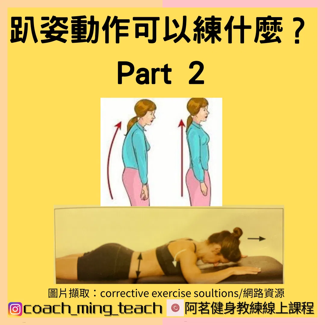 『趴姿動作可以練什麼？Part 2』