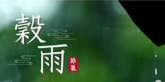 文化百寶箱 #二十四節氣#穀雨