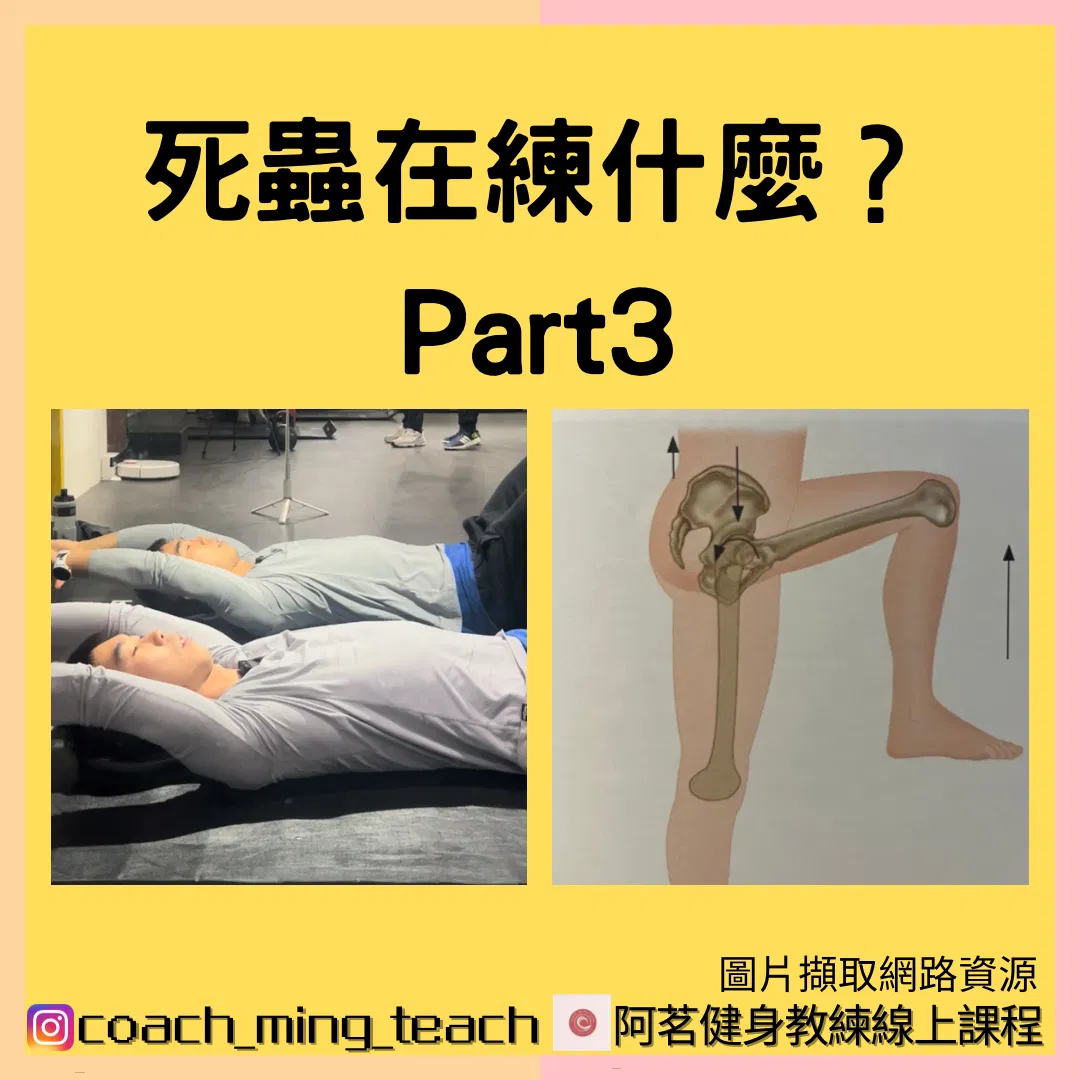 『死蟲在練什麼？Part 3』