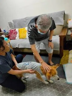 【告別身體絕對不是「睡覺」這麼簡單】