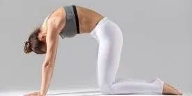《瑜伽日常》⚜貓式_舒緩背部和肩頸痠痛＃Marjaryasana-Bitilasana ＃Cat Pose
