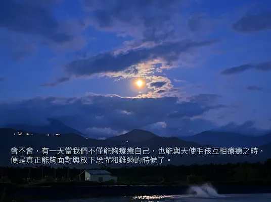 天使毛孩慢慢飛 課程資訊