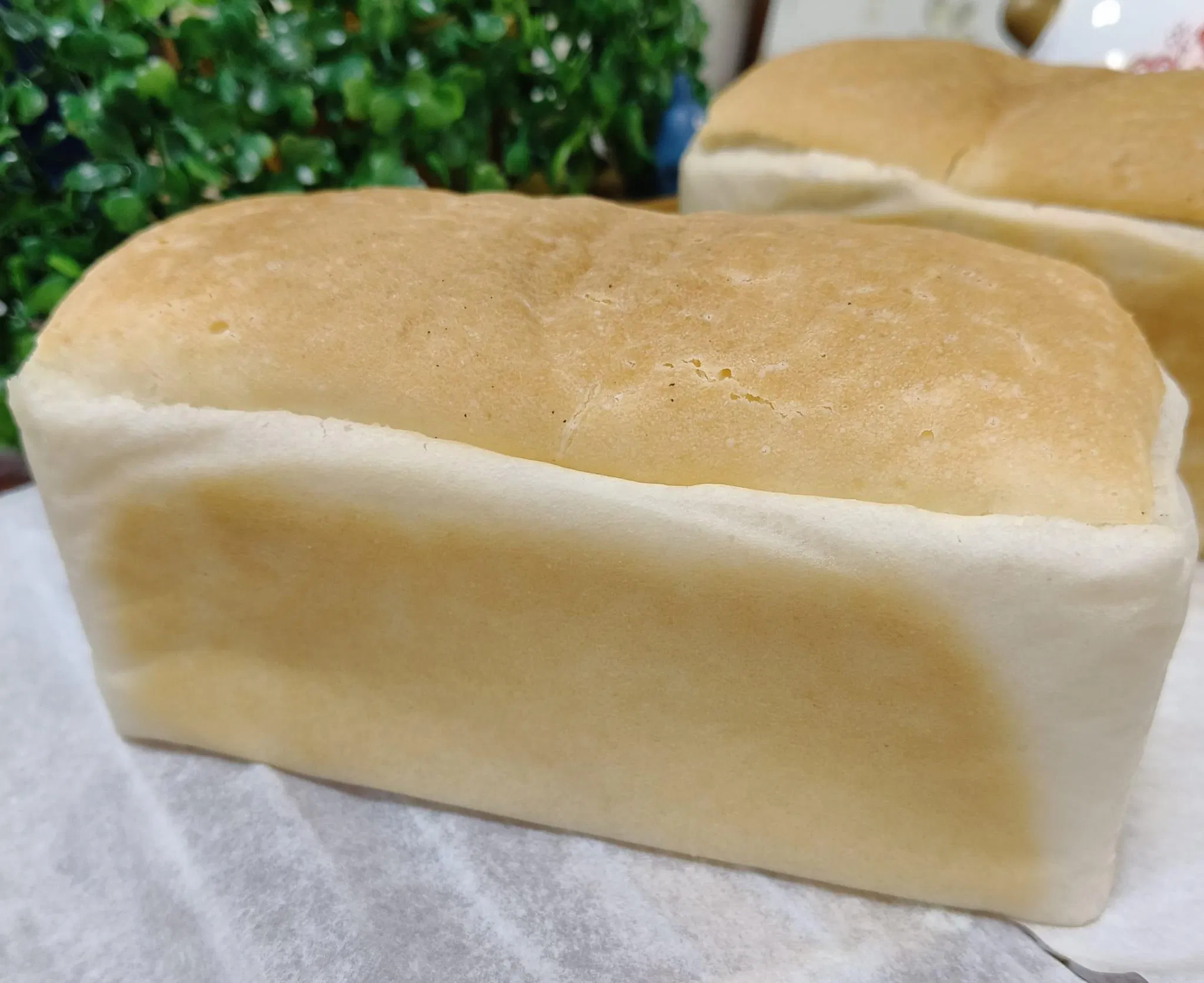 首先非常感謝老師這麼細心溫柔的指導教學，老師真的講解的很詳細，都有特別說明要注意的細節