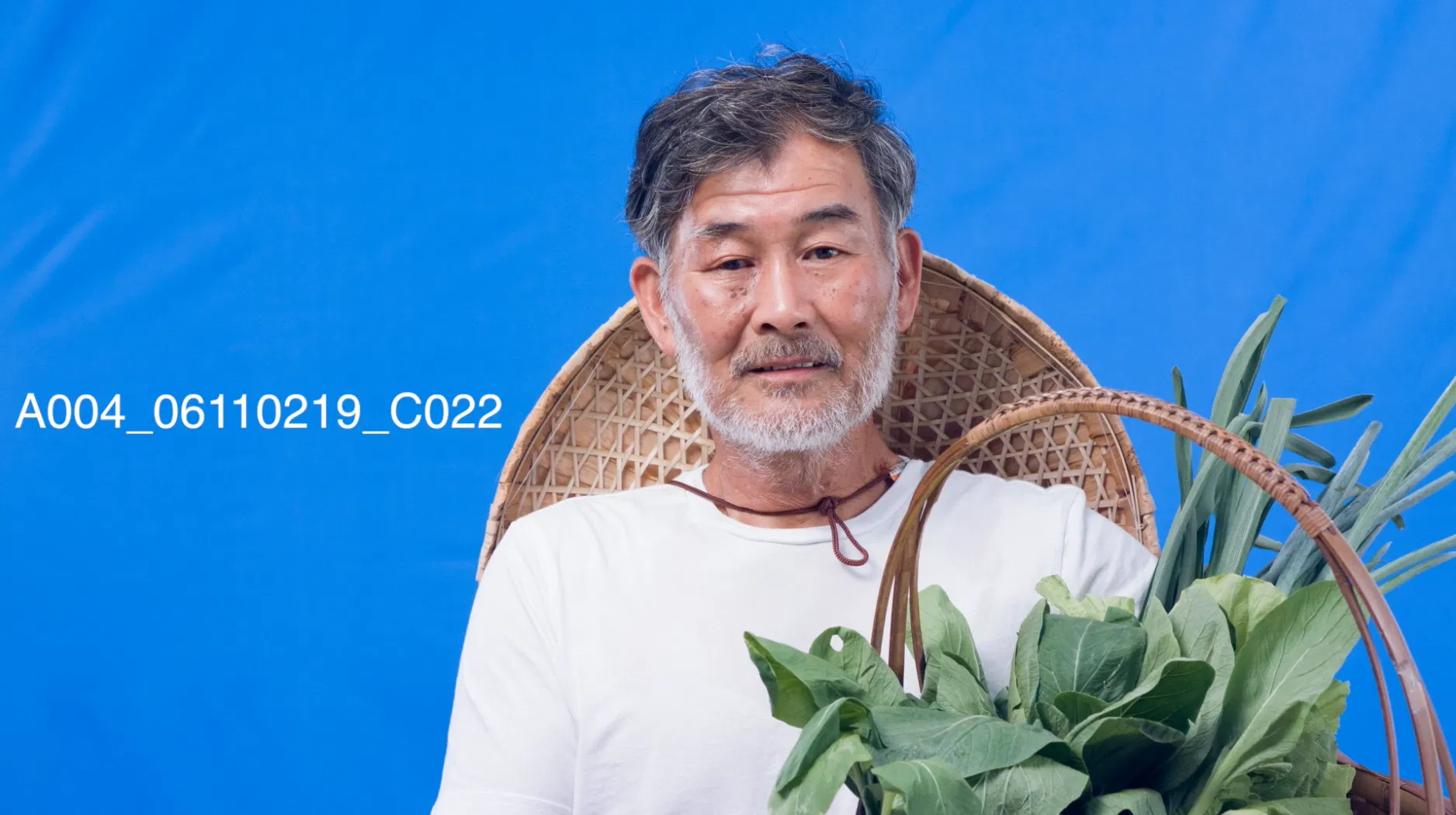 綠幕第一章｜是時候搞懂為何要拍藍綠幕了