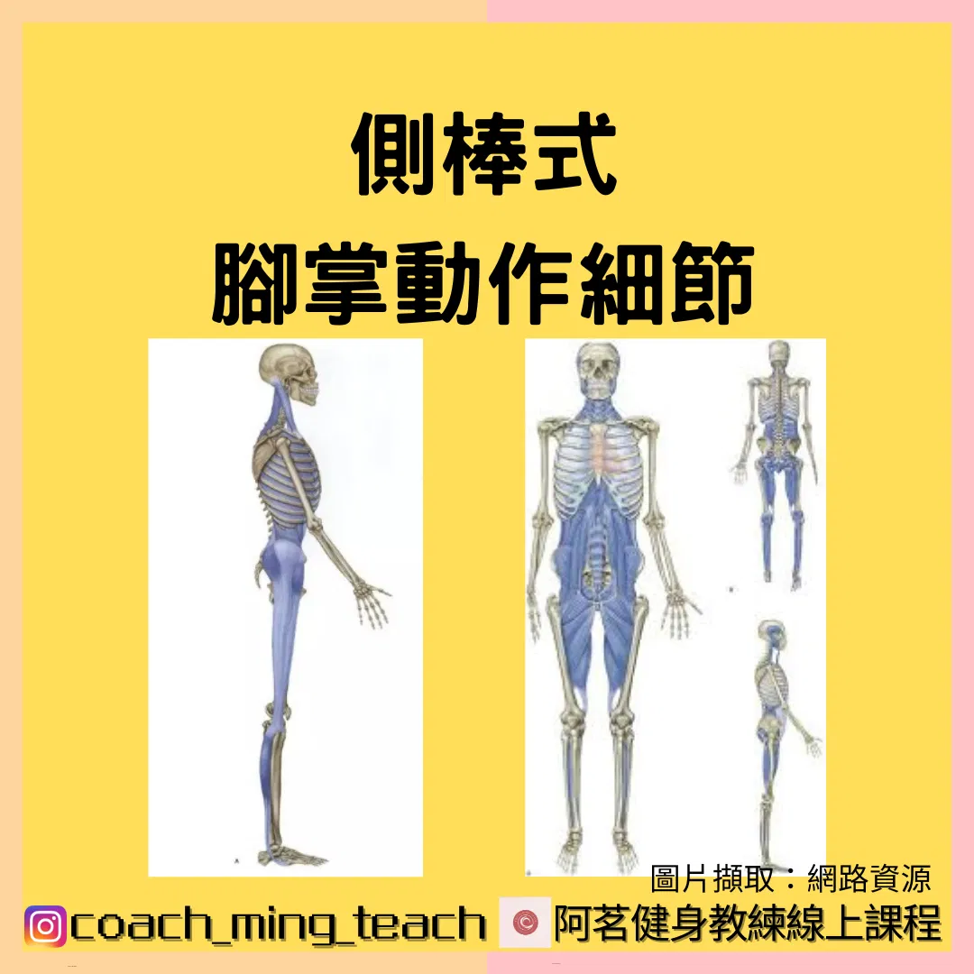『側棒式之腳掌動作細節』