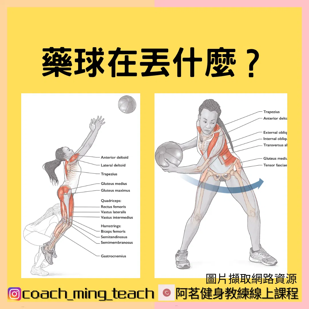 『藥球在丟什麼？』