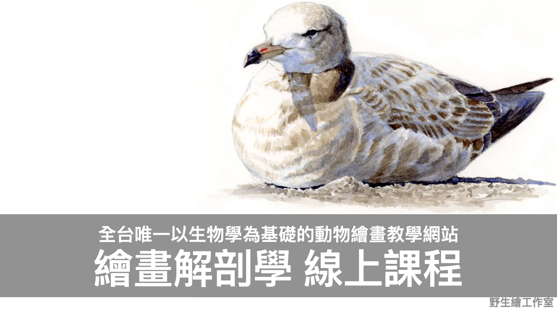 所有課程