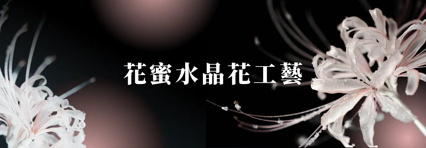 所有課程