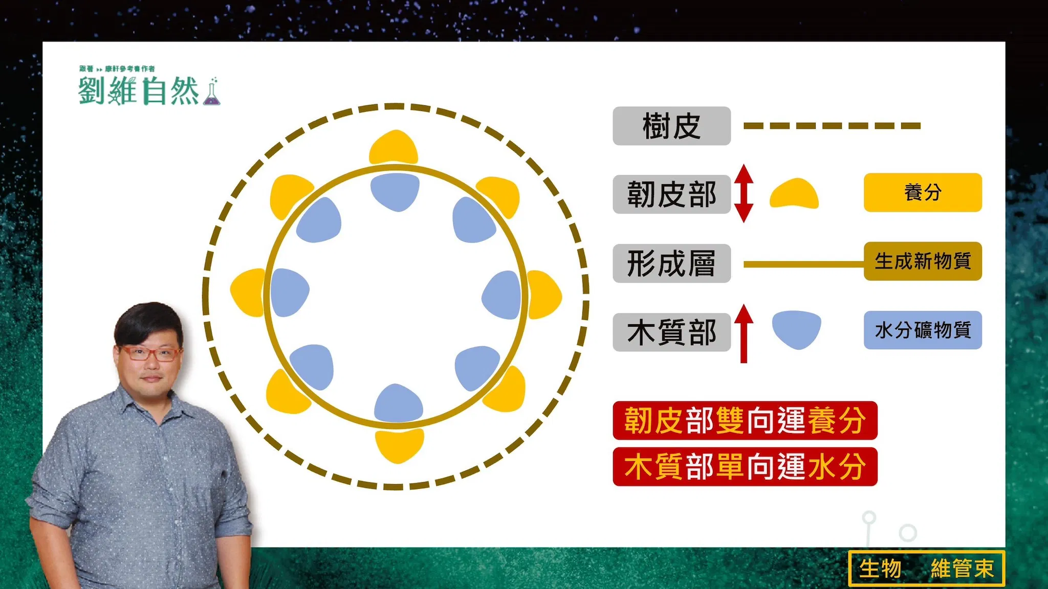 94d245c4-e61d-4468-83d2-0ed82b9f2b43