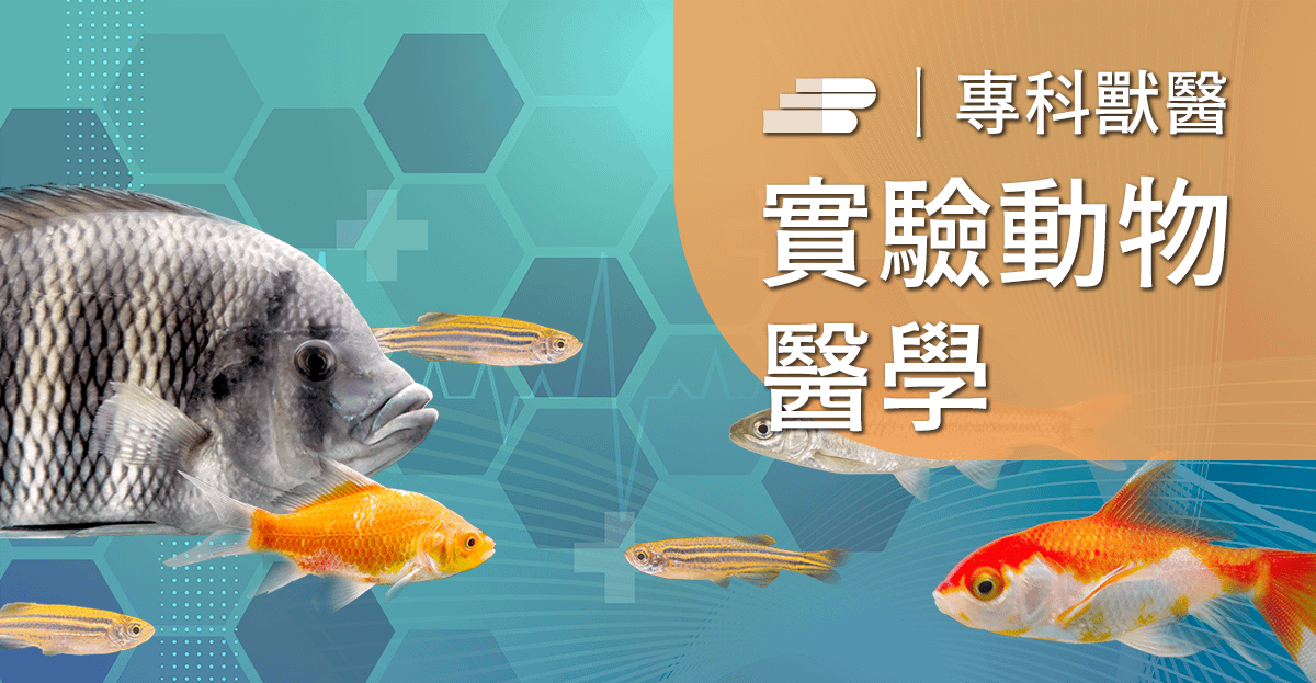 魚及水生動物常見疾病