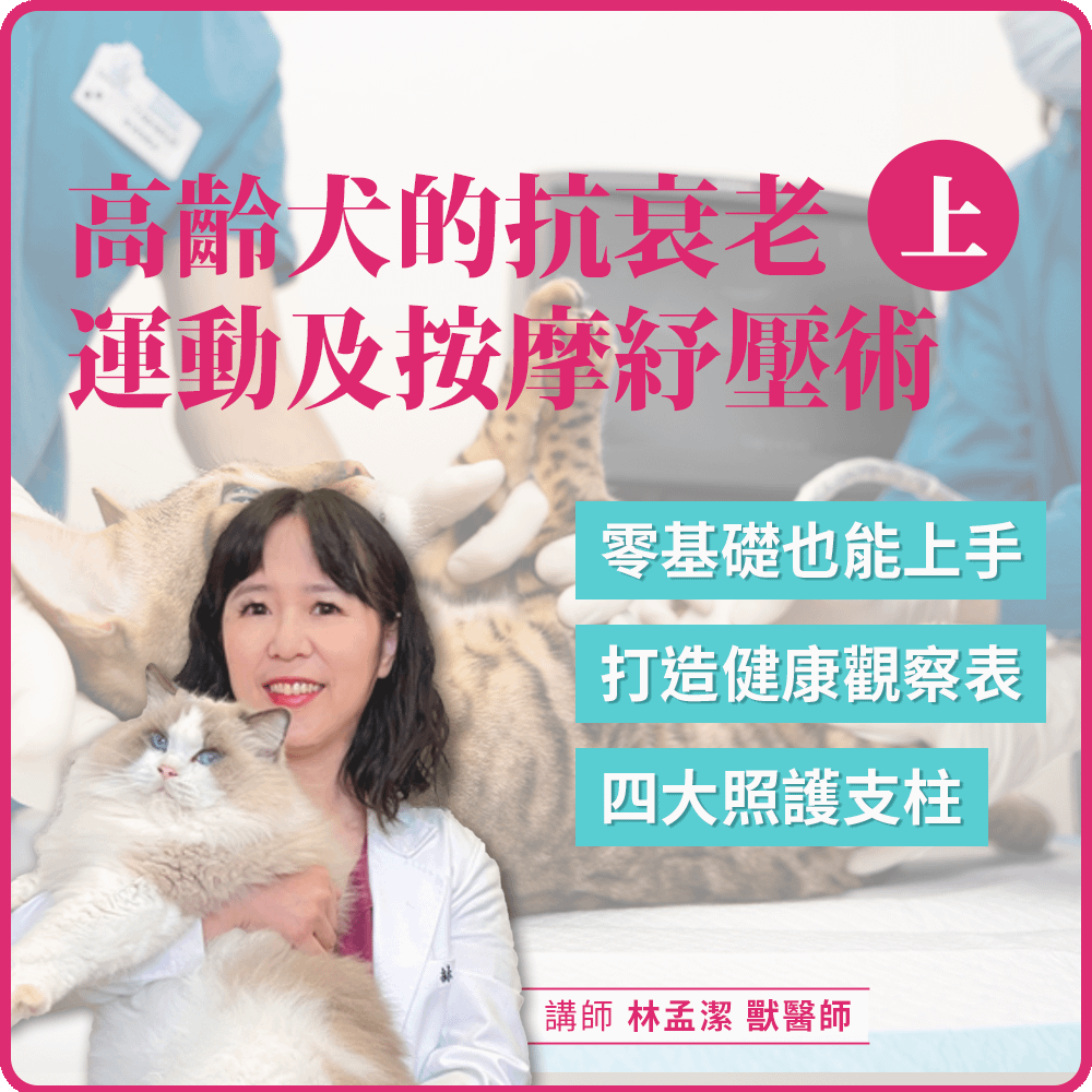 3/19(四) 19:30 高齡犬的抗衰老運動及按摩紓壓術(上)