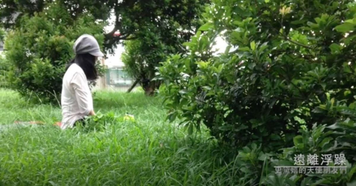 靜心：遠離浮躁