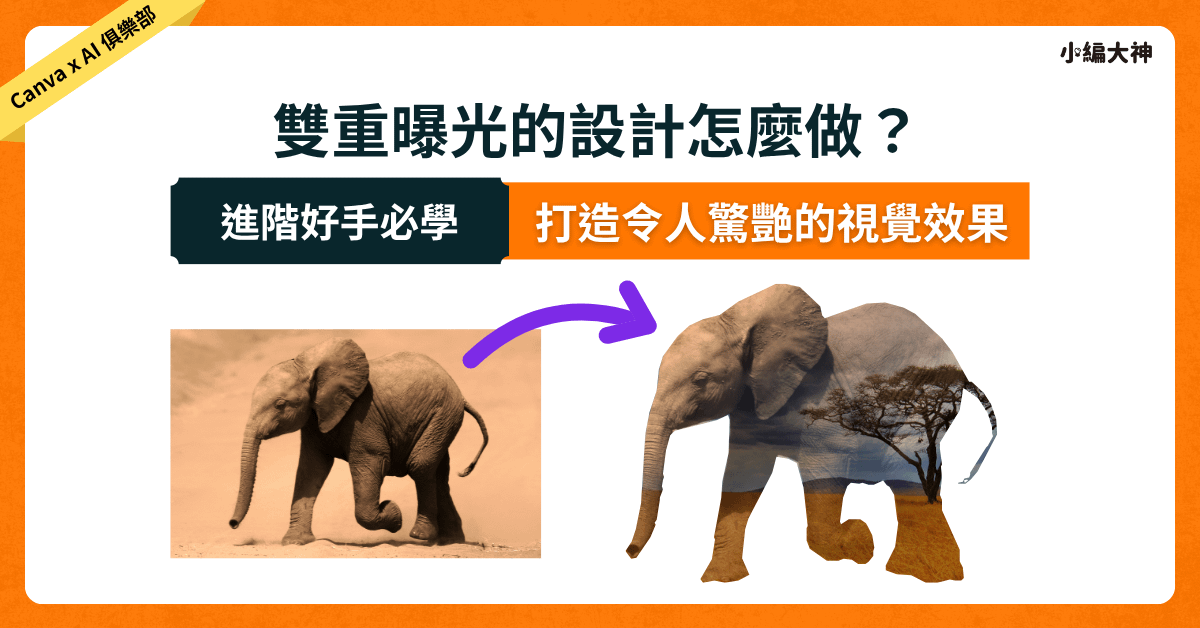 Canva設計：雙重曝光的設計怎麼做？