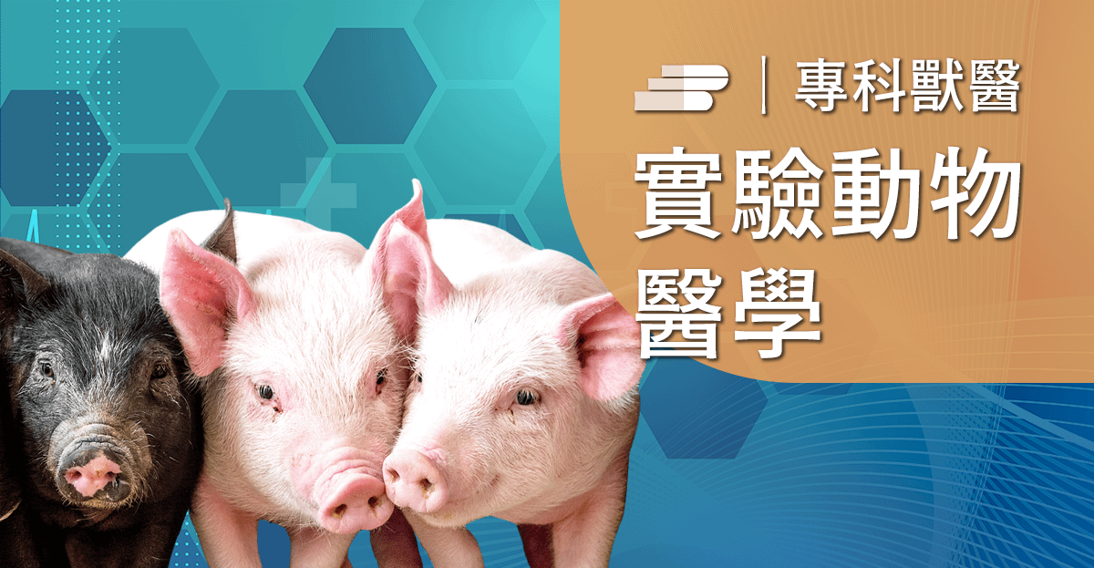 豬隻常見疾病