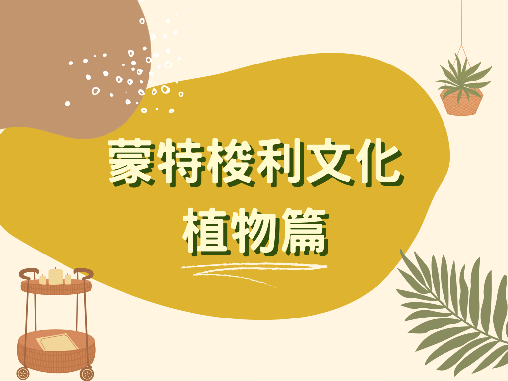 蒙特梭利 - 文化|植物