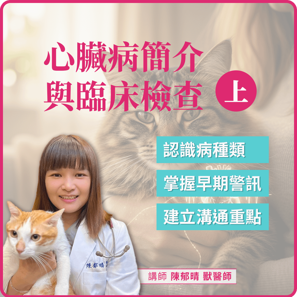11/28(五) 19:00 毛孩心臟病簡介與臨床檢查(上)