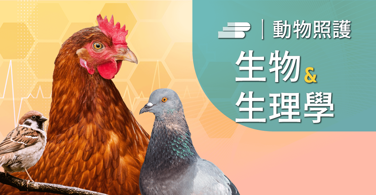 鳥禽類生物及生理學
