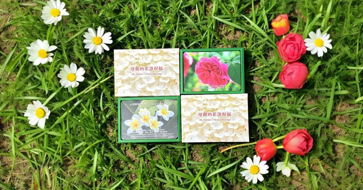 母親的花語祝福