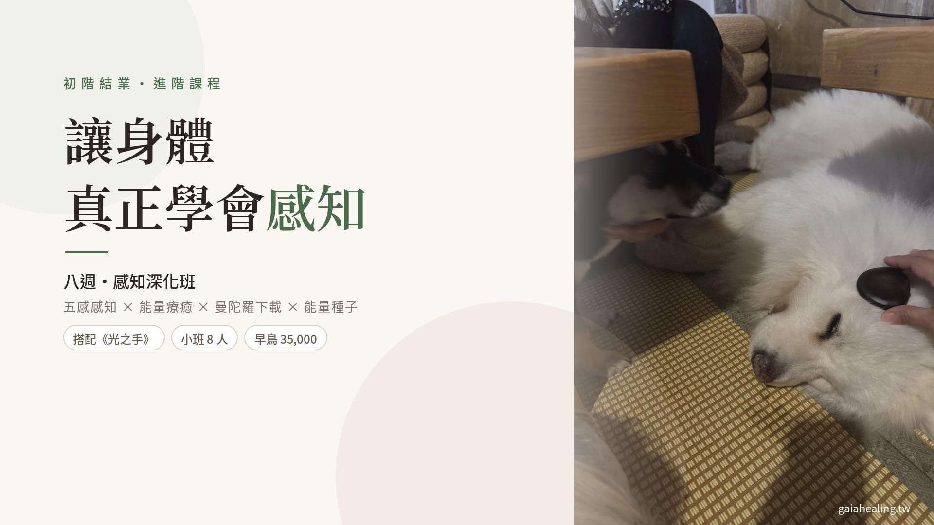 傳心療癒・進階課程|八週・感知深化班