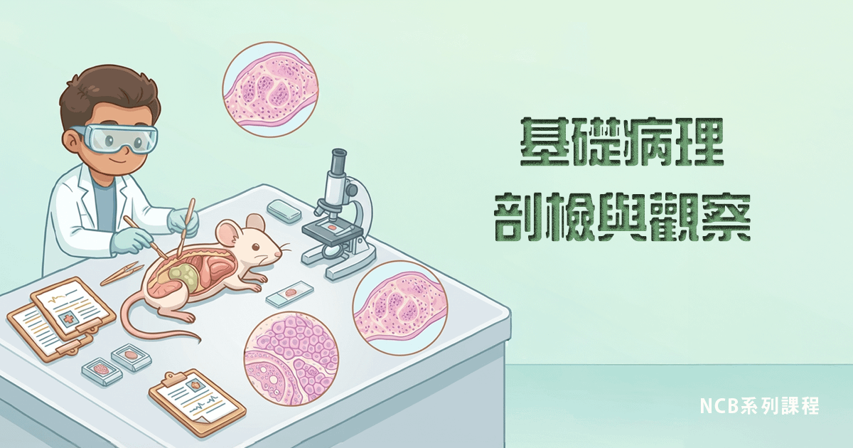 基礎病理剖檢與觀察