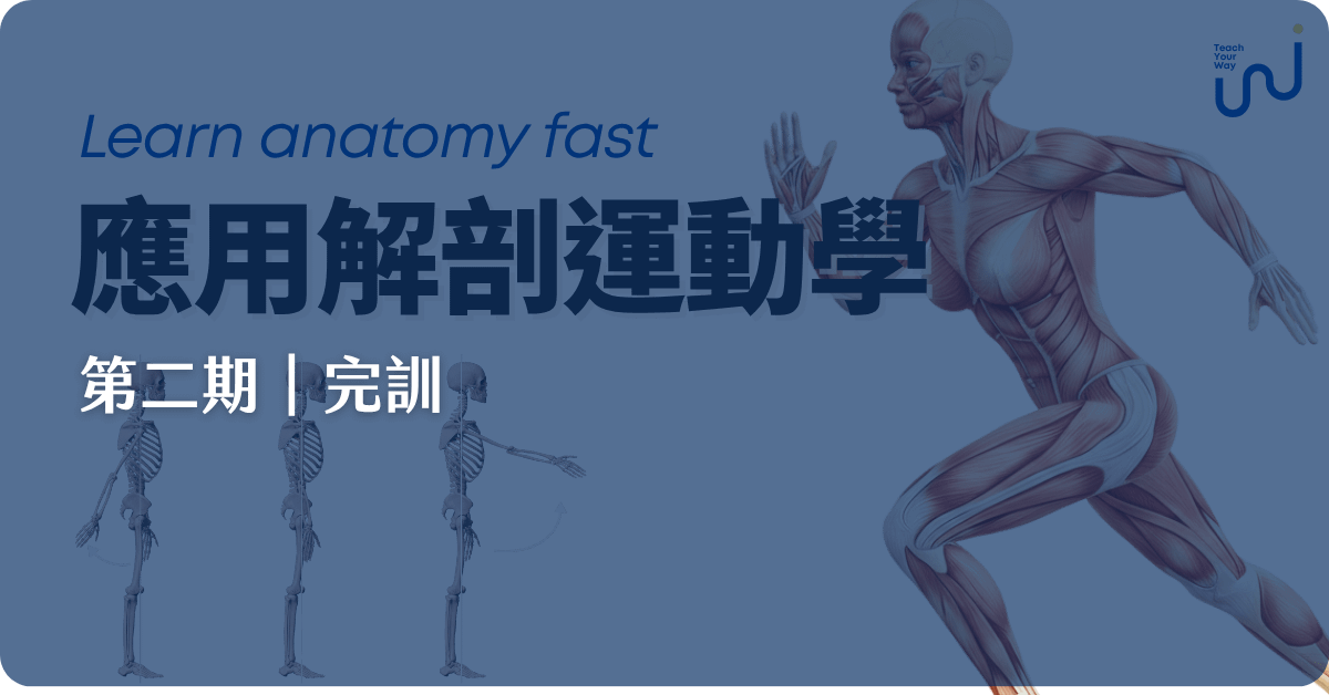 【第二期完訓】應用解剖運動學