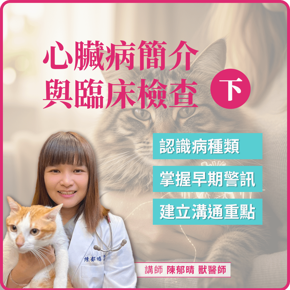 12/26(五) 19:00 毛孩心臟病簡介與臨床檢查(下)
