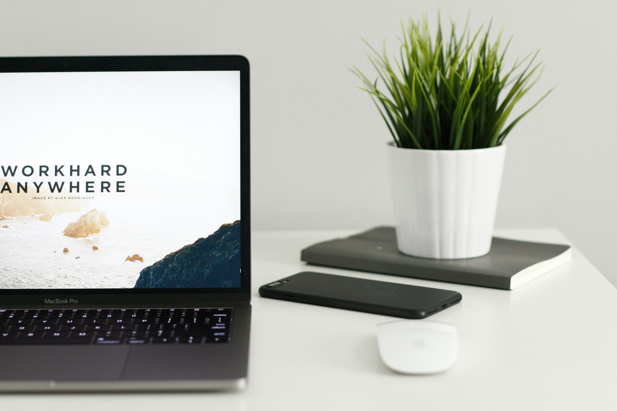 Assertiveness and Confidence Mastery Certification Diploma Course