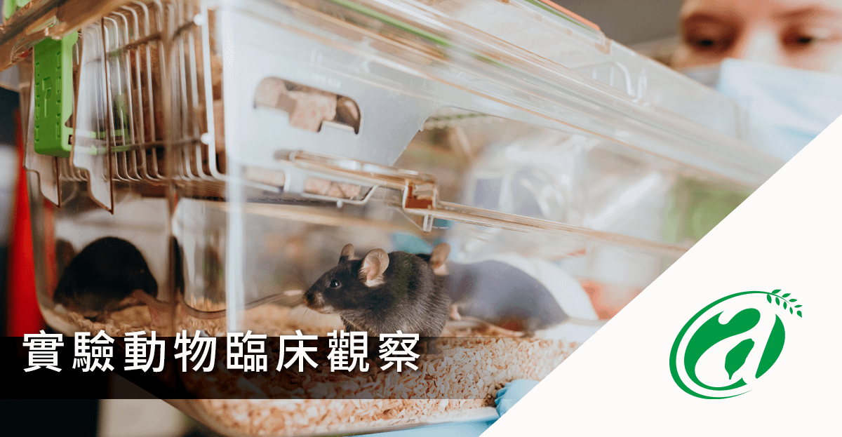 [線上課程]實驗動物臨床觀察