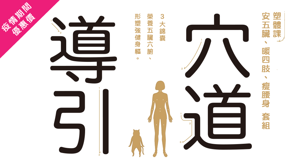 穴道導引 塑體課