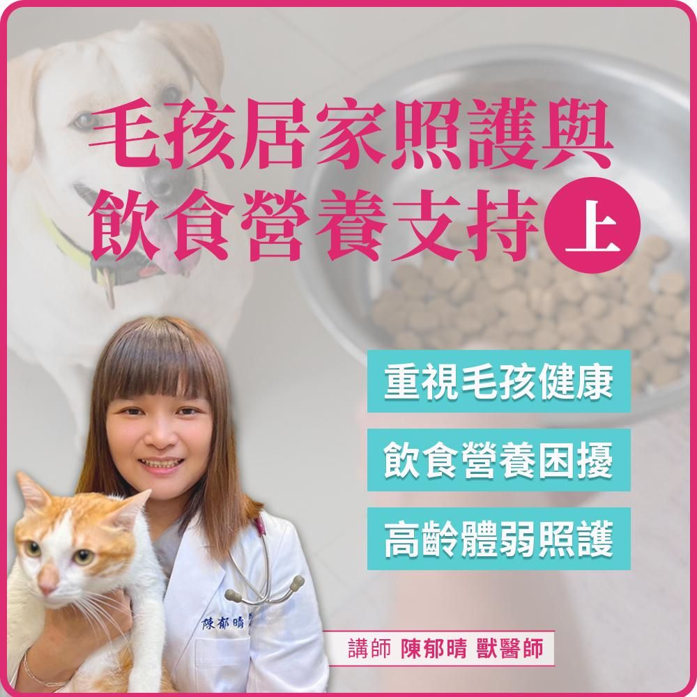 3/20(五) 19:00 毛孩居家照護與飲食營養支持(上)