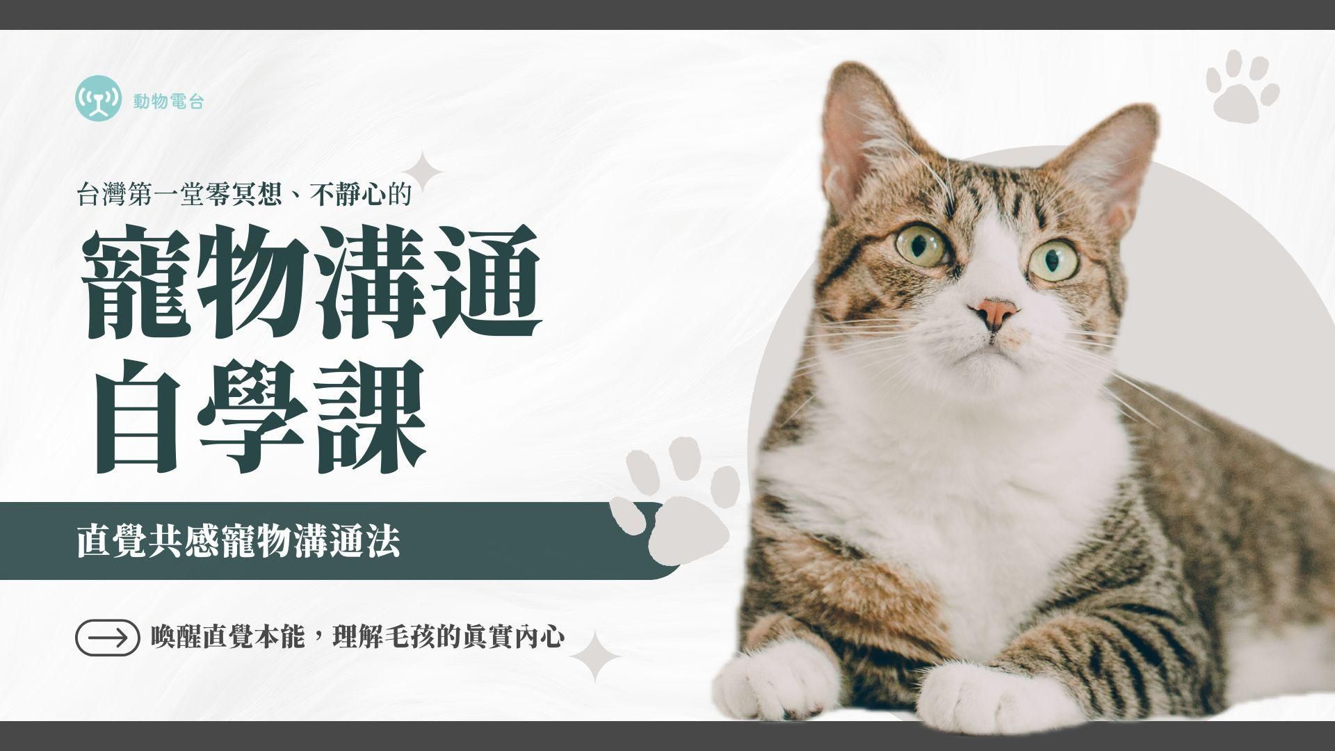 寵物溝通自學課|直覺共感寵物溝通法