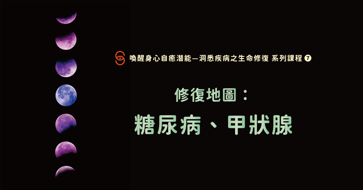修復07 修復地圖：糖尿病、甲狀腺