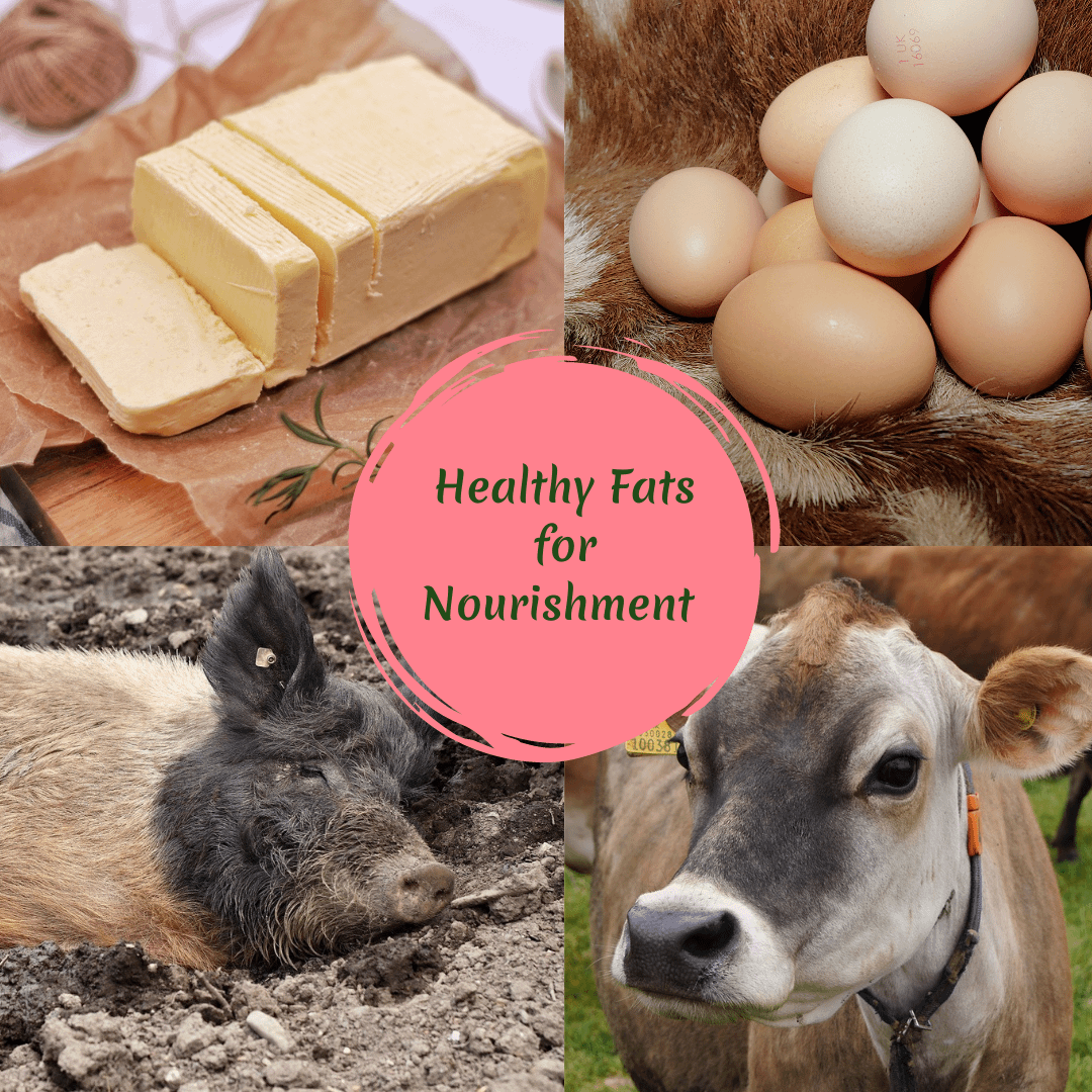Healthy Fats for Nourishment