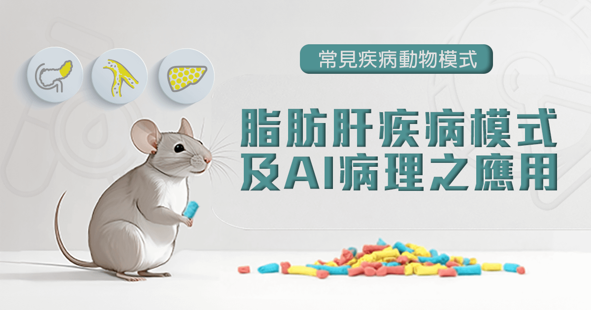 常見疾病動物模式-脂肪肝疾病模式及AI病理之應用