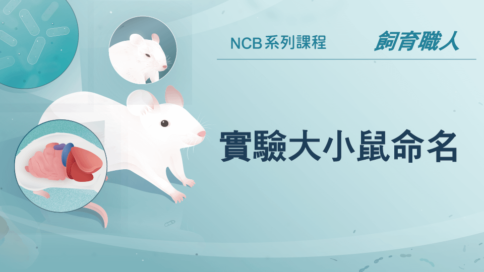 限時免費！[線上課程] 實驗大小鼠來源、品系與命名