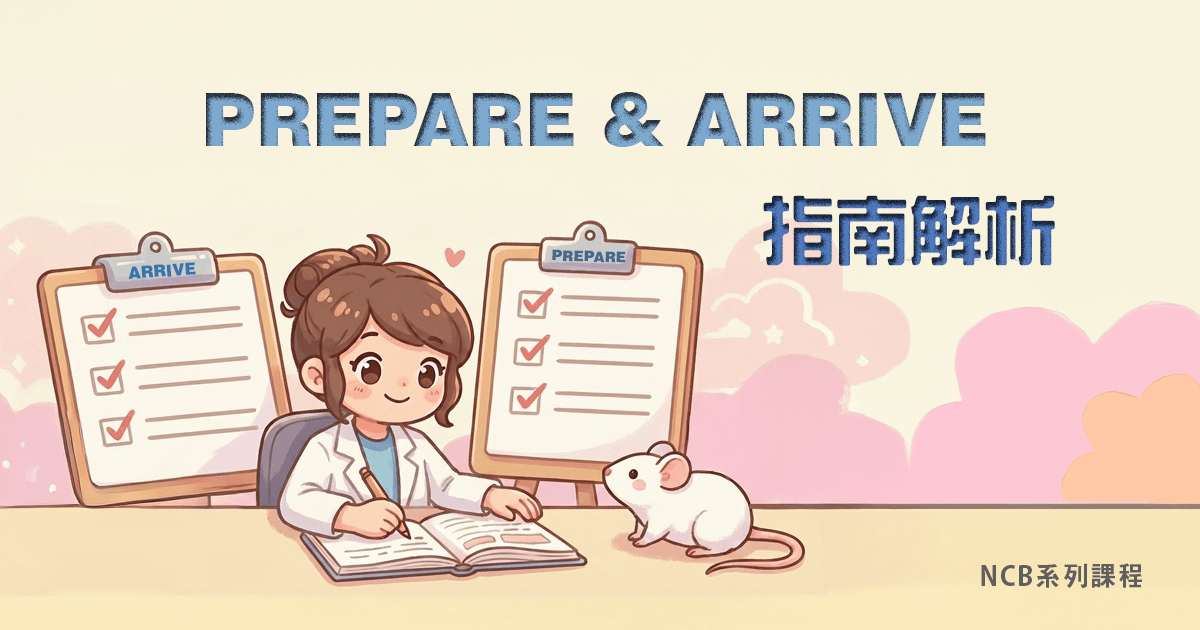 PREPARE & ARRIVE指南解析
