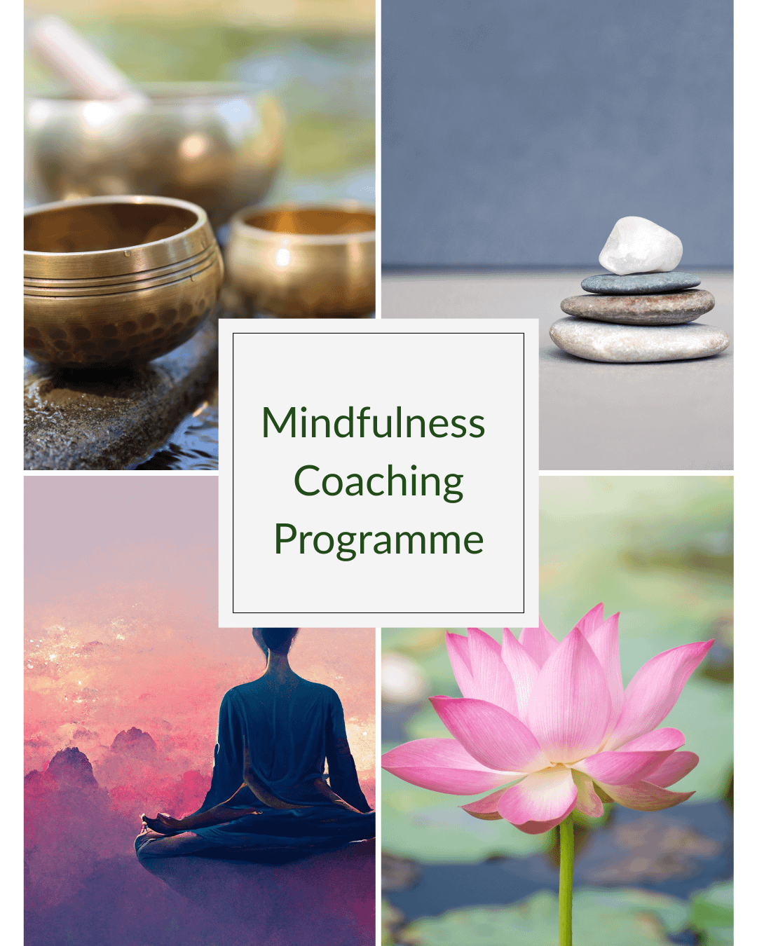 Mindfulness Coaching Programme