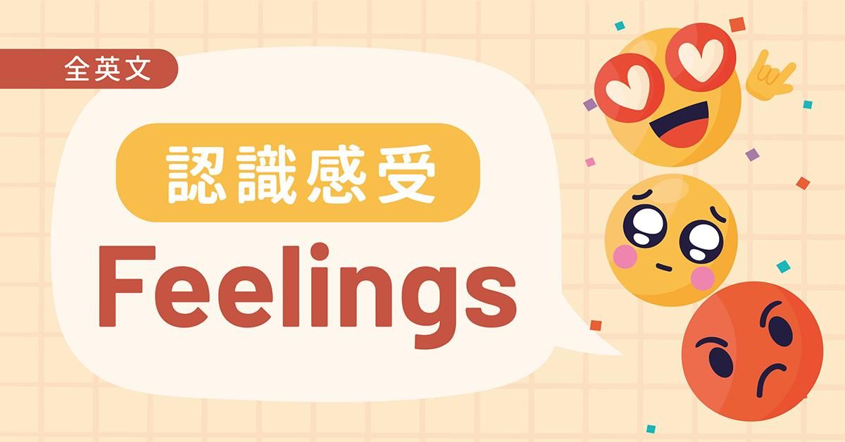 認識感受 Feeling