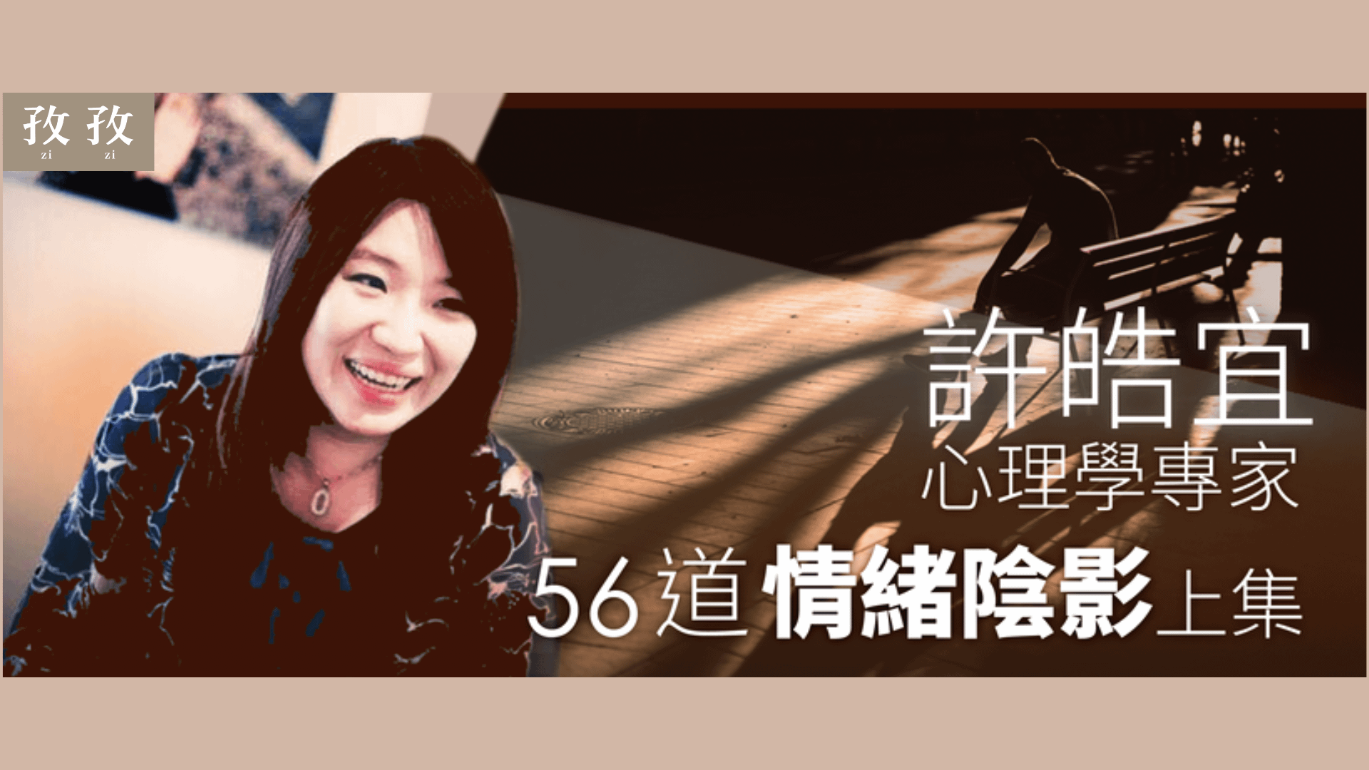 許皓宜 56則情緒陰影(上):情感與思想