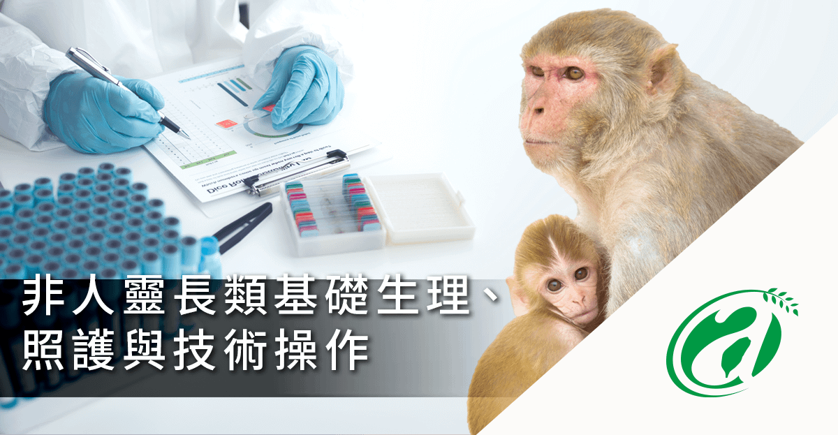 [線上課程]非人靈長類基礎生理、照護與技術操作