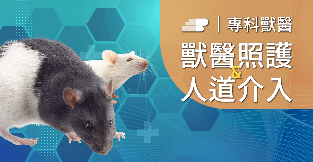嚙齒類實驗動物之麻醉與疼痛管理