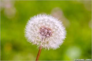 能量繪圖課程：帶刺少年的接納