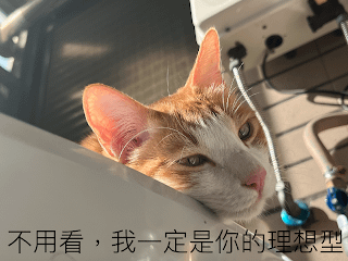 【同學都能連上線，而我什麼都沒有，真的很氣餒】