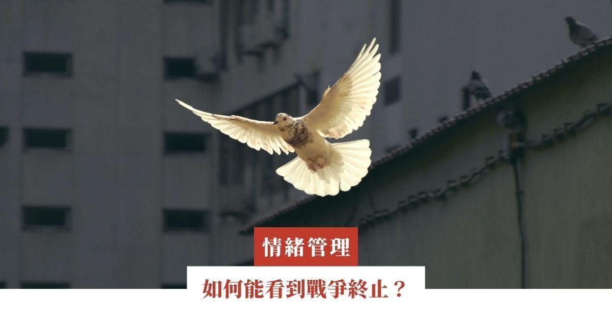 如何能看到戰爭終止？