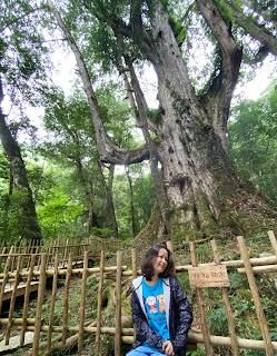 關於星亞動物溝通