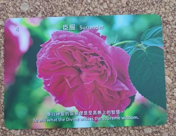 【花絮】2026國際🌏冥想靜心MAI複習課程