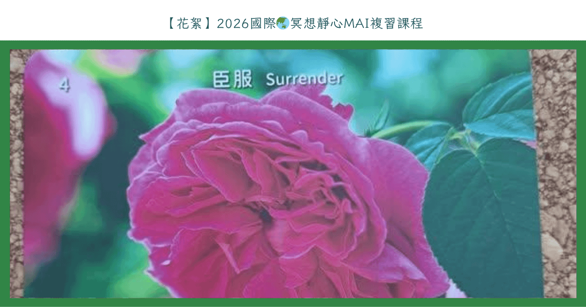【花絮】2026國際🌏冥想靜心MAI複習課程
