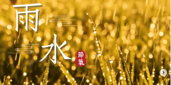 文化百寶箱#二十四節氣 #雨水