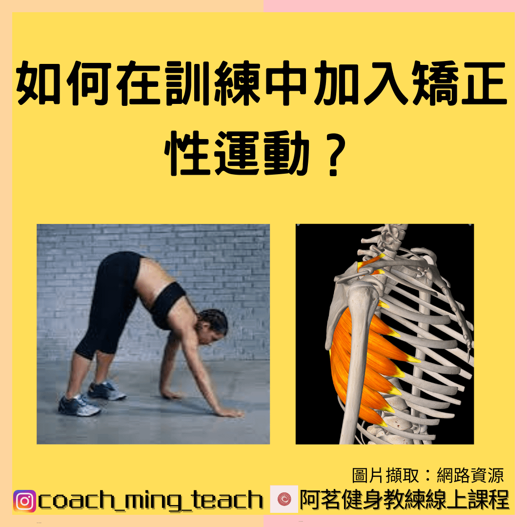 『如何在訓練中加入矯正性運動？』